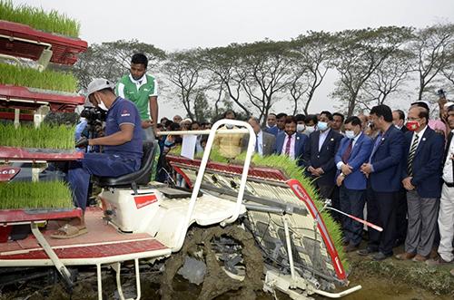 স্বাধীনতা বিরোধীদের ষড়যন্ত্রে সজাগ থাকার আহ্বান কৃষিমন্ত্রীর