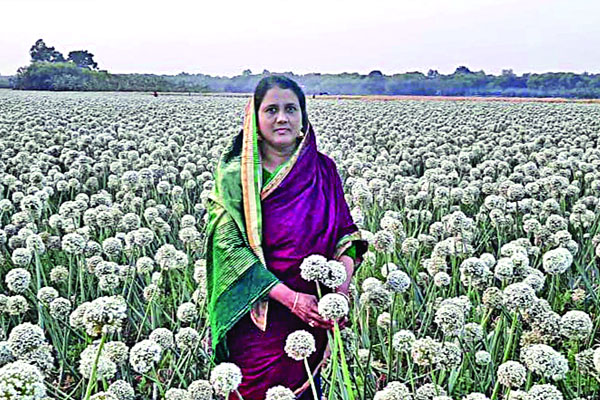 পিঁয়াজ বীজের রাজকন্যা