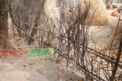 নাটোরে চলাচলের রাস্তায় বেড়া, অবরুদ্ধ ৭ পরিবার