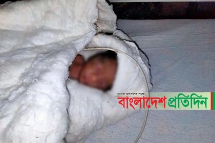 হাসপাতালে জন্ম নেওয়া কন্যাসন্তান বাঁশঝাড়ে, হদিস নেই মায়ের