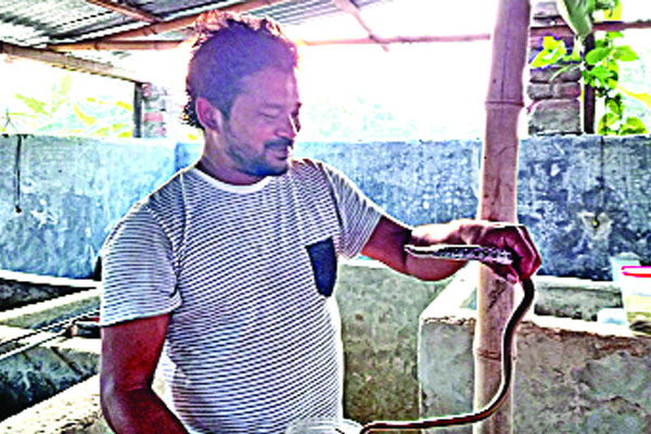 সাপের সঙ্গে বন্ধুত্ব রোমনের
