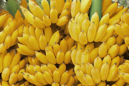 কলার বক্সে ২ হাজার কোটি টাকার কোকেন

