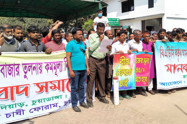 চুয়াডাঙ্গায় ধানবীজের মূল্য বৃদ্ধির দাবিতে বিএডিসি চাষিদের মানববন্ধন