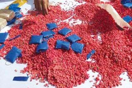 মতিঝিলে ৬১০০ ইয়াবাসহ গ্রেফতার ২