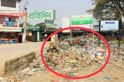 তোড়জোড়ে দেড় বছর পার, তবুও অপসারণ হয়নি ময়লার ভাগাড়!