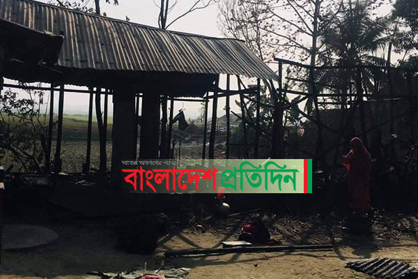 শিবচরে আগুনে পুড়ে মরলো কৃষকের গবাদিপশু

