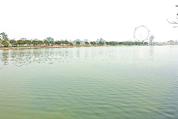 রংপুরে আকর্ষণীয় চিকলি বিল