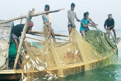 জাটকা ধরার অপরাধে ২২ জেলের কারাদণ্ড