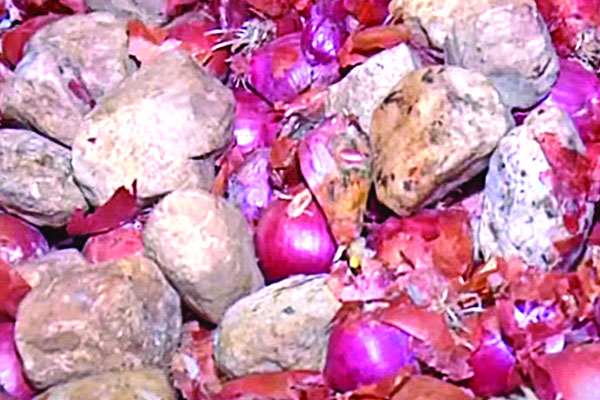 আমদানি পিঁয়াজের বস্তায় অর্ধেকই পাথর!