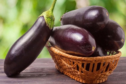 ওজন কমায়, কোষ্ঠকাঠিন্য দূর করে বেগুন