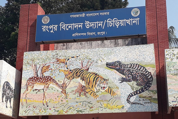 ৫ দিন পর জানা গেল জলহস্তীটি মারা গেছে