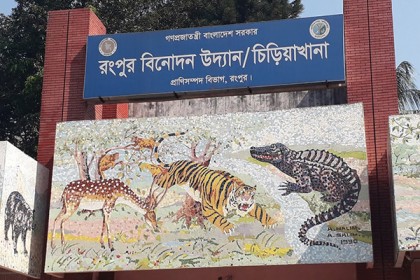 ৫ দিন পর জানা গেল জলহস্তীটি মারা গেছে