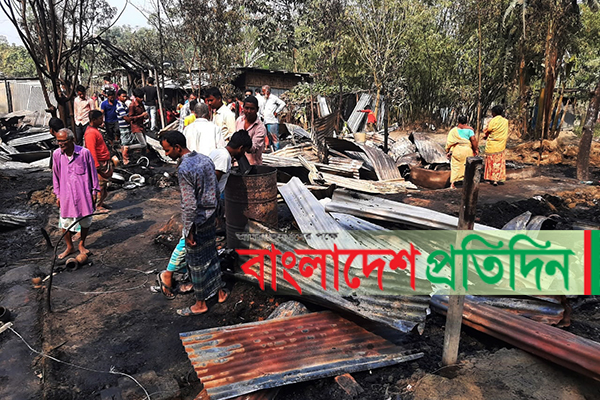 বোচাগঞ্জে গরু-ছাগলসহ ১৯ ঘর পুড়ে ছাই