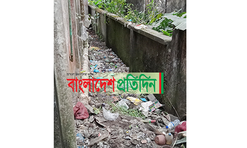 লাকসামে মশার উপদ্রবে জনজীবন অতিষ্ঠ