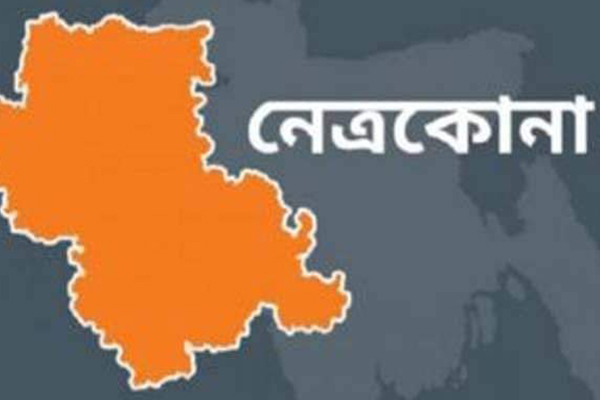 সাংবাদিক নিহতের ঘটনায় চালককে গ্রেফতারের দাবিতে নেত্রকোনায় প্রতিবাদ সভা 