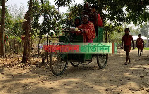 দুই পা হারিয়েও ভিক্ষাবৃত্তি নয় ভ্যান চালিয়েই চলে রোকেয়ার সংসার