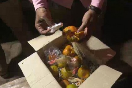 ঝুড়িতে সাজানো কমলালেবুর মধ্যে শত শত ইয়াবা!