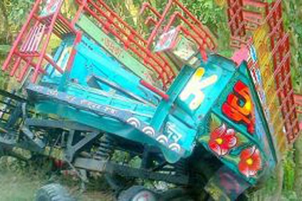 নালিতাবাড়ীতে ভটভটি উল্টে ব্যবসায়ী নিহত