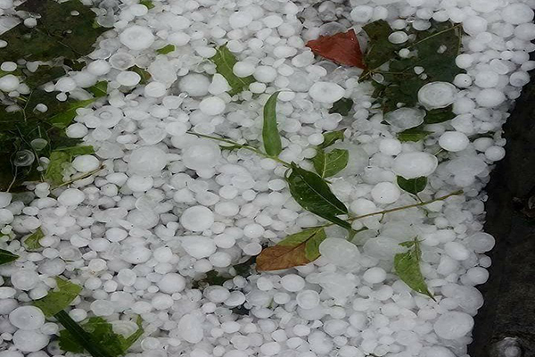 নেত্রকোনায় বছরের প্রথম শিলাবৃষ্টি 