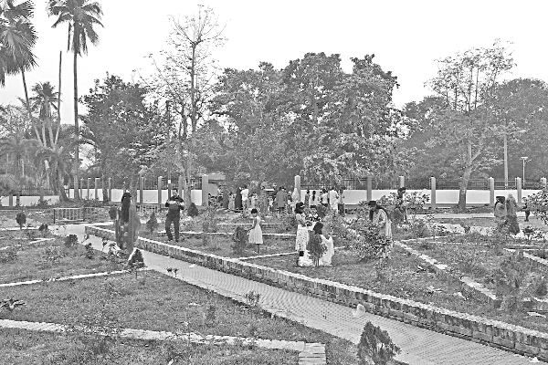 নড়াইলের ফুসফুস ডিসি-ইকো পার্ক