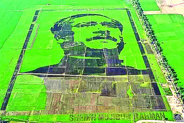 শস্যচিত্রে বঙ্গবন্ধুর প্রতিকৃতি দেখে অভিভূত গিনেস প্রতিনিধিরা