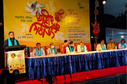 পিঠা বাঙালি সংস্কৃতির এক অবিচ্ছেদ্য অংশ: সংস্কৃতি প্রতিমন্ত্রী

