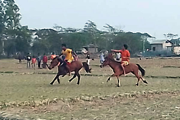 কলাপাড়ায় ঘোড়ার দৌড় প্রতিযোগিতা