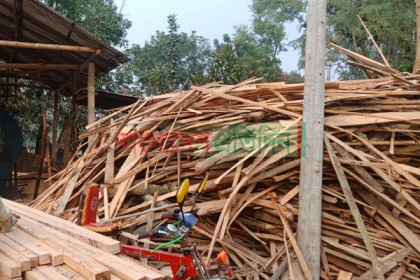 শেরপুরে অবৈধ করাত কলের জন্য উজার হচ্ছে বন