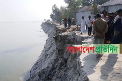 কুড়িগ্রামে ব্রহ্মপুত্র নদে তীব্র ভাঙন, হুমকিতে আবাদি জমি-বসতবাড়ি