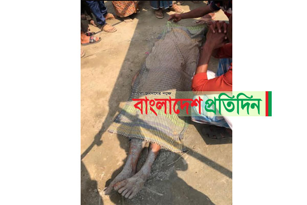 ভাত খাওয়ার সময় গাছ চাপা পড়ে শ্রমিক নিহত 