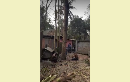কাশিয়ানীতে মুক্তিযোদ্ধার গাছ কাটার ঘটনায় মামলা, গ্রেফতার ২