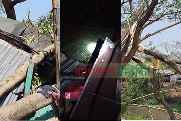সরাইলে কালবৈশাখীর ঝড়ে শতাধিক বাড়িঘর ও গাছপালা বিধ্বস্ত