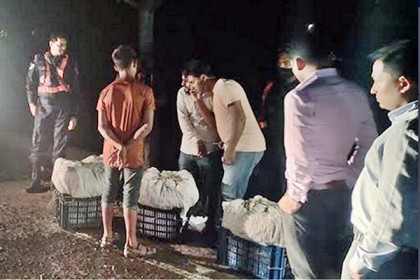 বরিশালে ১২ হাজার ১৬০ কেজি জাটকা জব্দ, আটক ৪ জনের জরিমানা