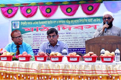 খুবিতে লবণাক্ততা সহিষ্ণু আলুর উপযোগিতা যাচাইয়ে মাঠ দিবস
