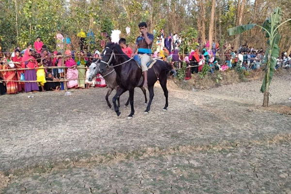 বঙ্গবন্ধুর জন্মশতবার্ষিকী উদযাপনে কালিয়াকৈরে ঘোড়দৌড় প্রতিযোগিতা