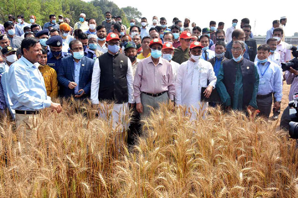 কৃষিতে বিশ্বে রোলমডেল বাংলাদেশ: কৃষিমন্ত্রী