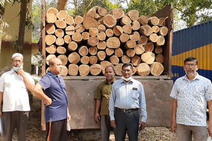 কুমিল্লায় ২০ লাখ টাকার অবৈধ কাঠ জব্দ 