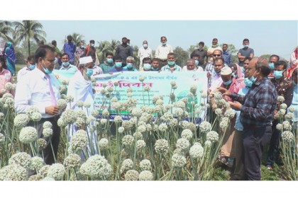 ‘কৃষি প্রযুক্তি, দক্ষ ব্যবস্থাপনা প্রয়োগে 
কৃষকদের ভাগ্যোন্নয়নে কাজ করা হচ্ছে’