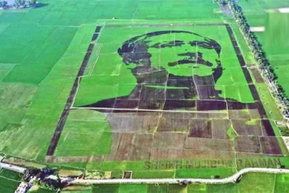 গিনেস ওয়ার্ল্ড রেকর্ডে ‘শস্যচিত্রে বঙ্গবন্ধু’