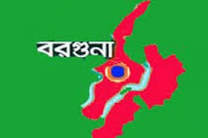 নির্বাচনী প্রচার মিছিলে অংশ নিতে গিয়ে সমর্থকের মৃত্যু