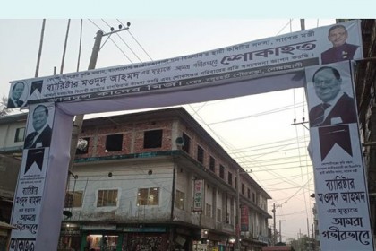 মওদুদের মৃত্যুতে বসুরহাটে তিন দিনের শোক ঘোষণা কাদের মির্জার 

