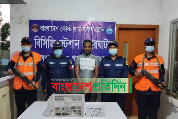 পাথরঘাটায় ৬ তক্ষকসহ আটক ১