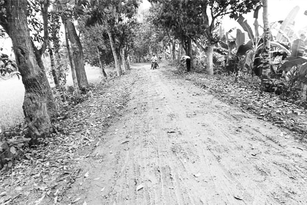 ভাটার মাটিতে নষ্ট সড়ক