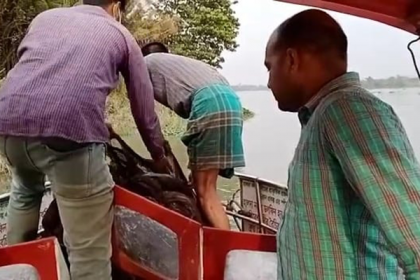 হালদা নদী থেকে পাঁচ হাজার মিটার জাল জব্দ  