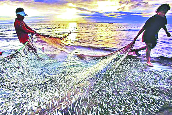 অপার সম্ভাবনার ব্লু ইকোনমি