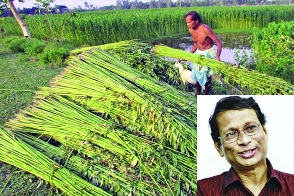 যুগান্তকারী অর্জন পাটের জিন আবিষ্কার