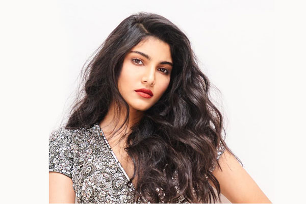 বলিউডে পা রাখছেন সালমান খানের পরিবারের আরও এক সদস্য