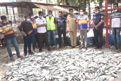 বরিশালে ৮৬ মণ জাটকা বোঝাই ট্রাক জব্দ, আটক ২
