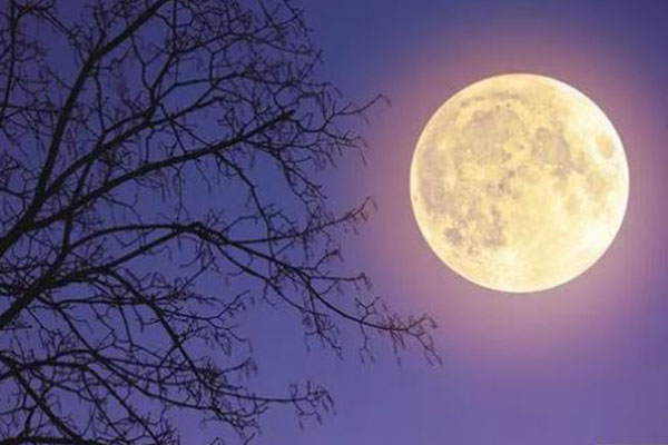 বছরের প্রথম সুপারমুন দেখা যাবে কাল