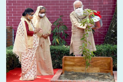 বকুল চারা রোপণ করলেন মোদি

